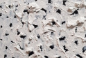 vielfalt_13
